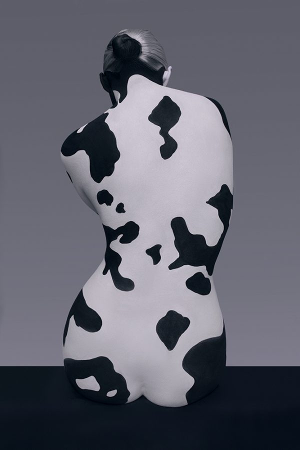 Cow